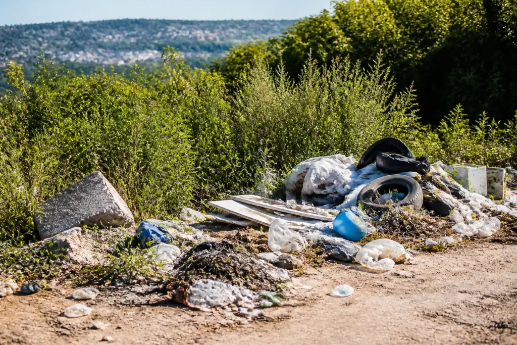 Déchets sauvages